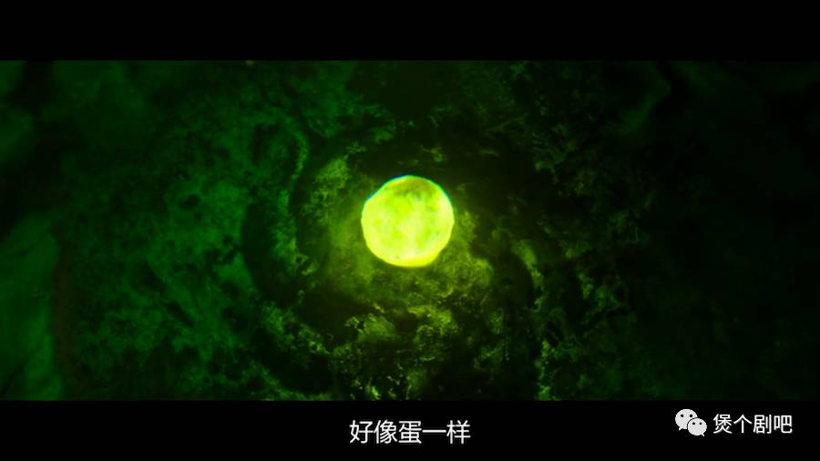 姜栋元电影截图,姜栋元最新电影叫什么