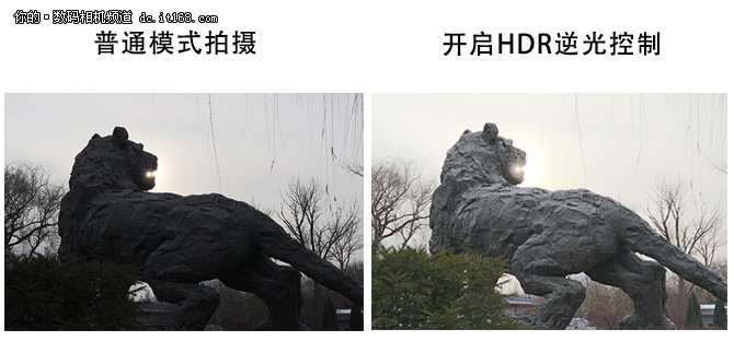 定位专业,佳能eos5dmarkiv