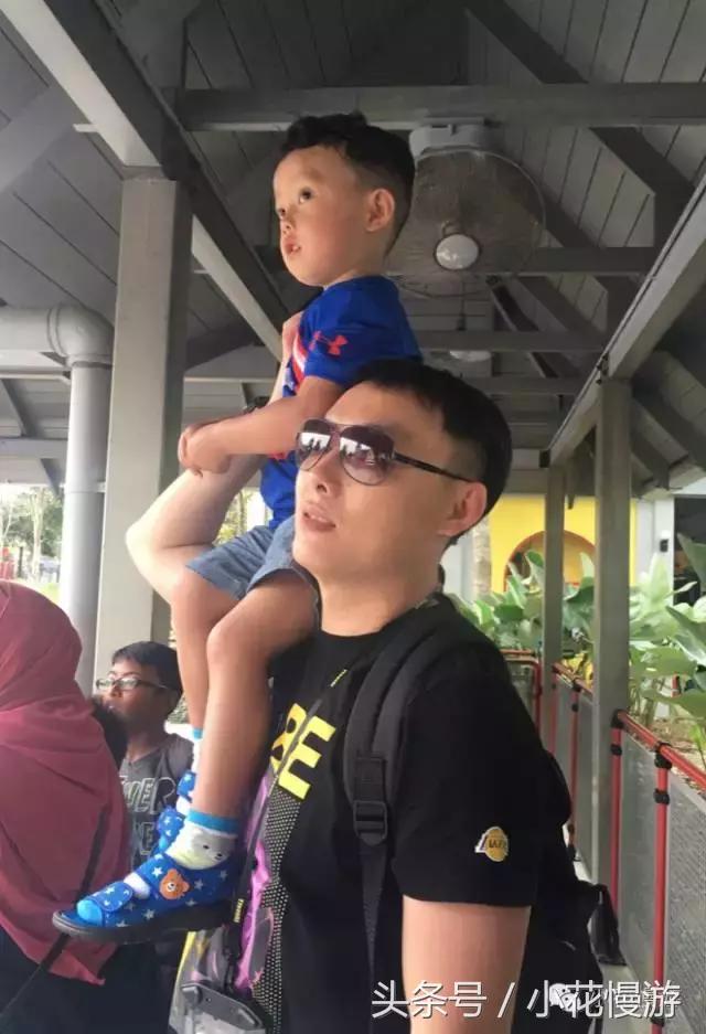 看图写话发现亮点,看图说话奇妙的一天