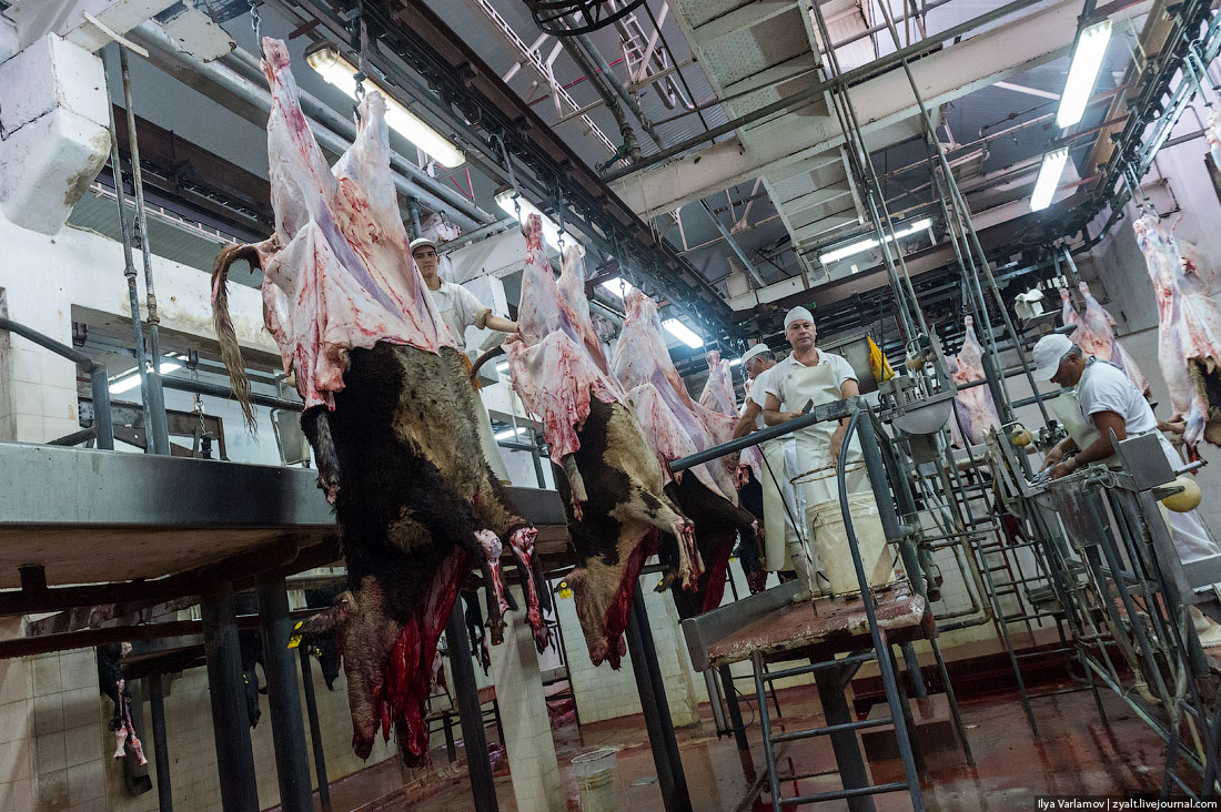 学做包包面料视频,品牌包包推荐面料