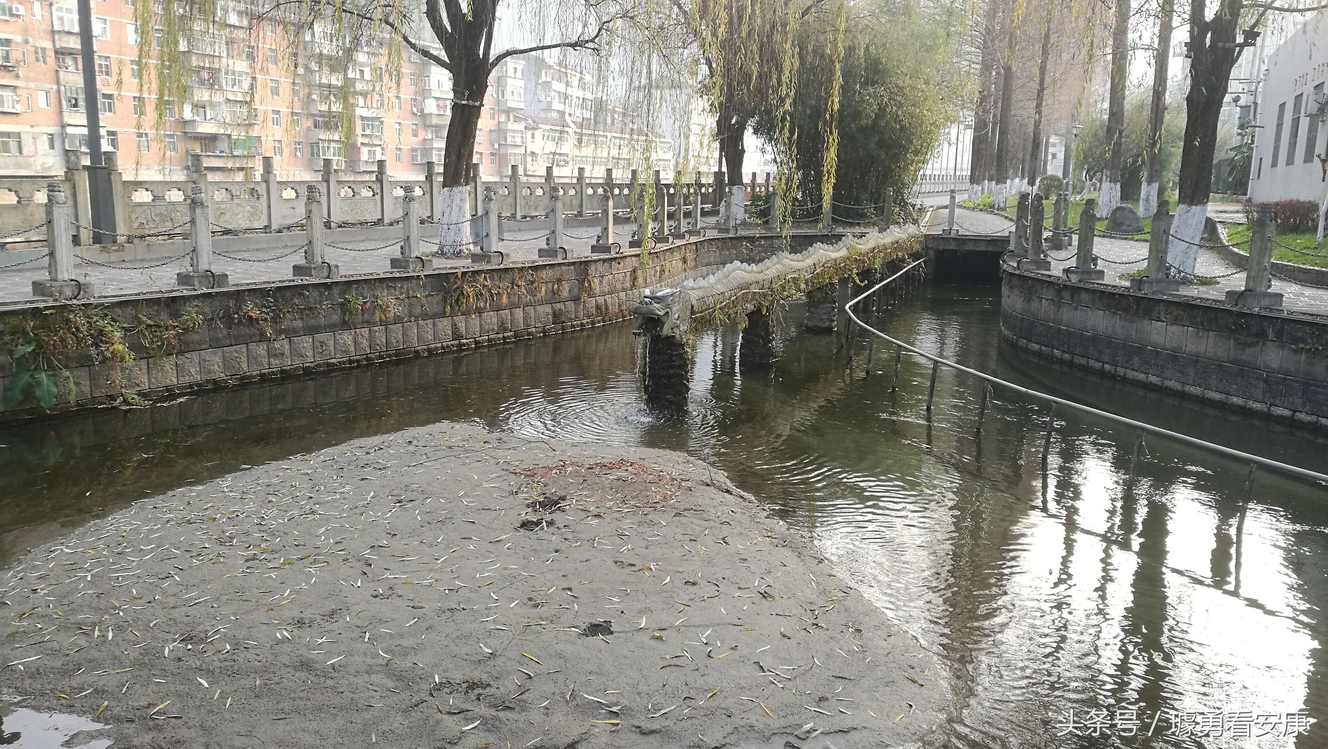 这里是中国慢城，一个让人能够宁静的城市这里环境美人情更美