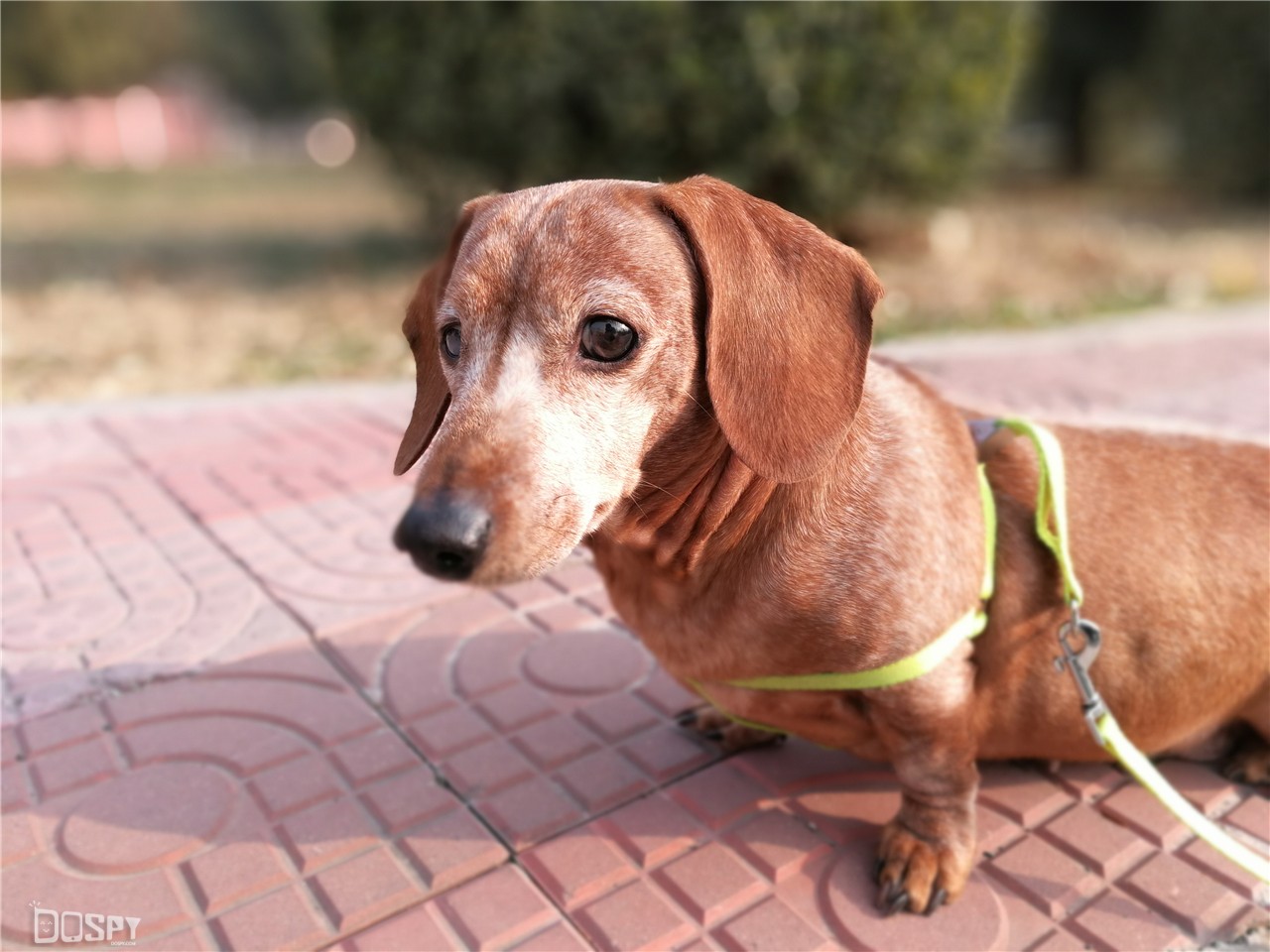 华为mate9pro评测,华为mate9pro性能详解