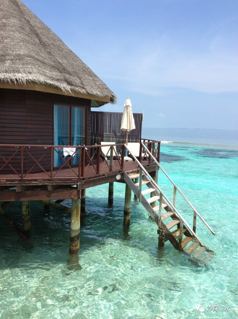 蹇冭摑娓呰繙,myblueheart