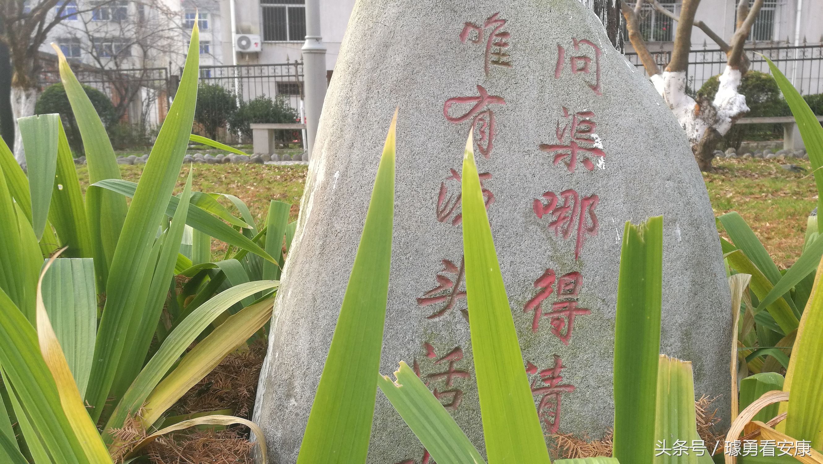 这里是中国慢城，一个让人能够宁静的城市这里环境美人情更美