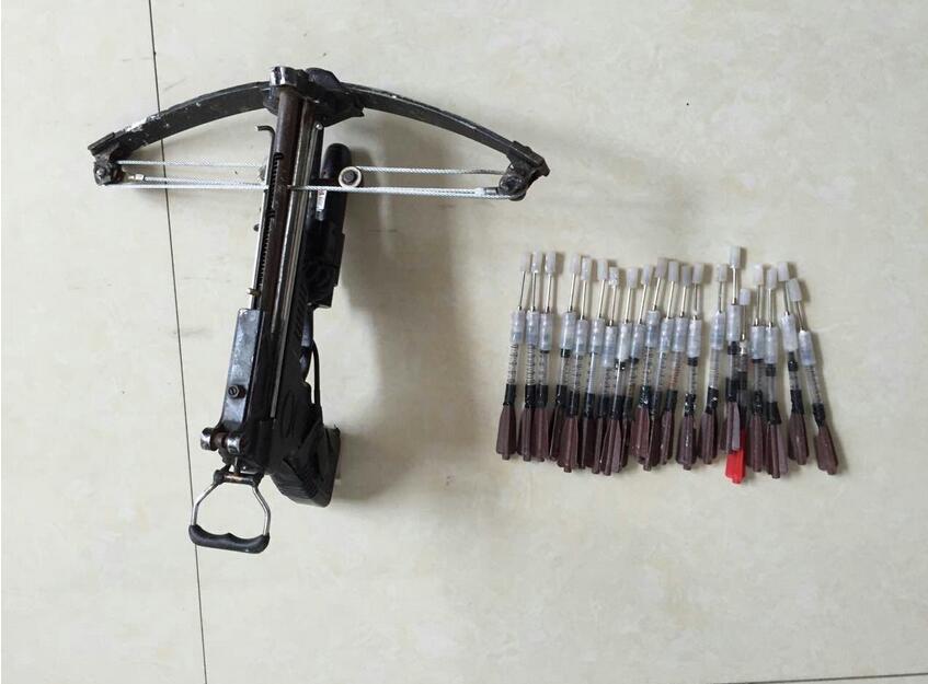 男子驾车毒射土狗被抓 (男子半夜持刀伤狗被网暴)