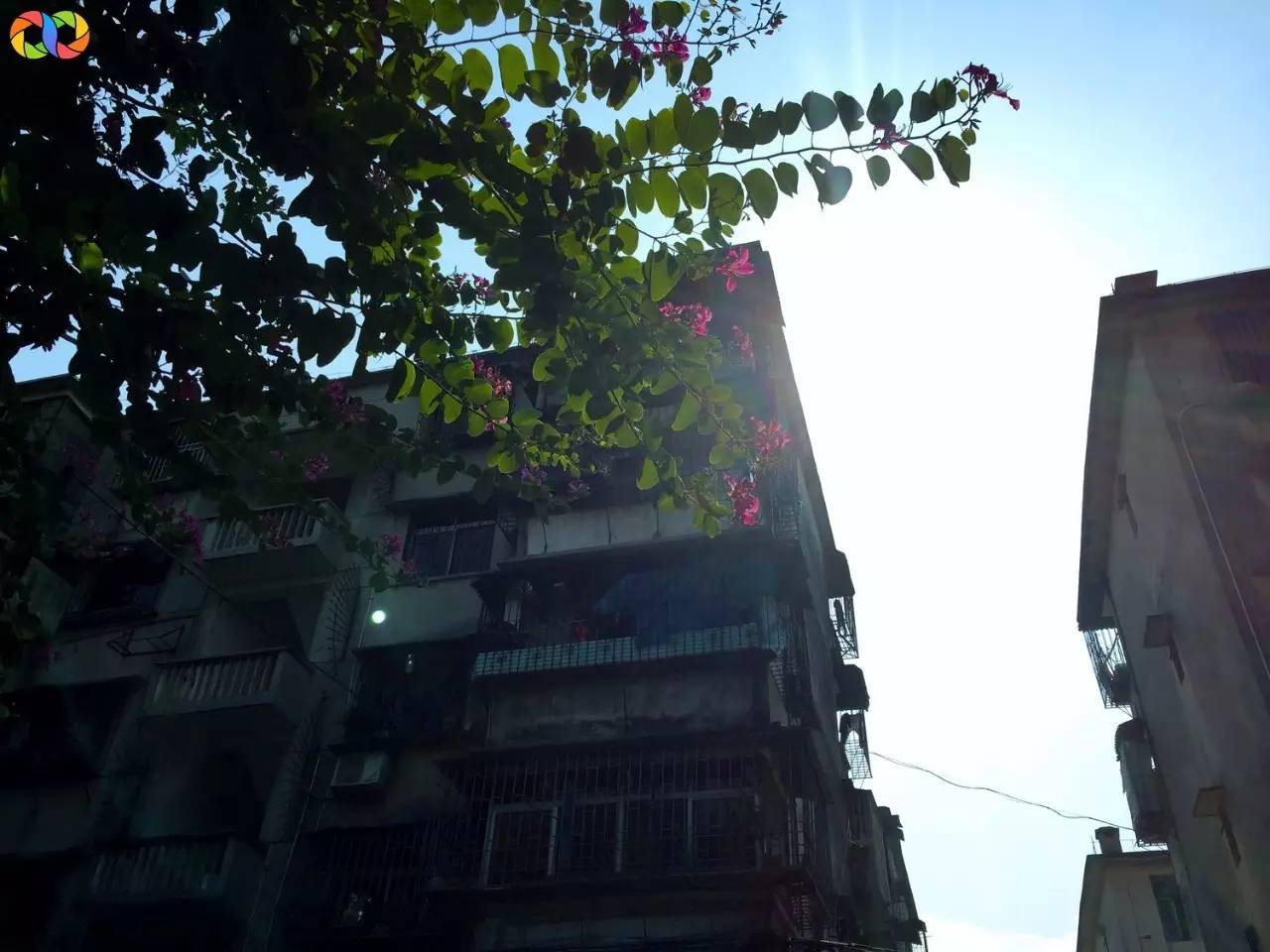 你愿意陪我走过春夏秋冬,你愿意陪我走一条很长的路吗中文