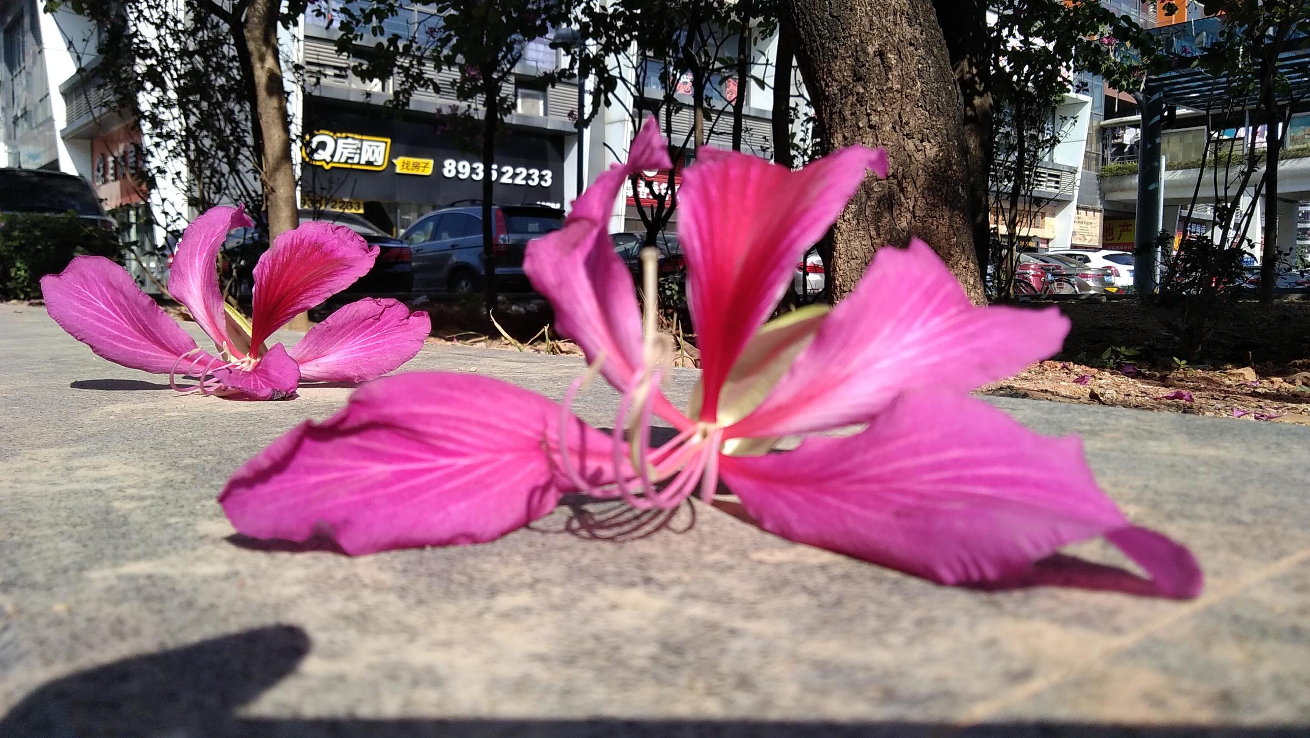 华为畅享6s的像素怎么样,华为畅享6拍照效果怎么样