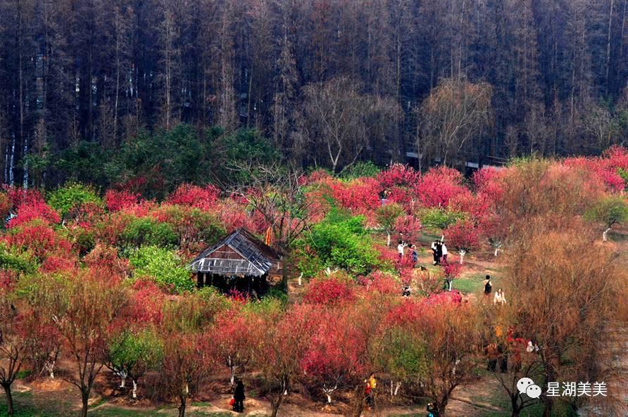 广东省肇庆市生态环境,肇庆生态文明