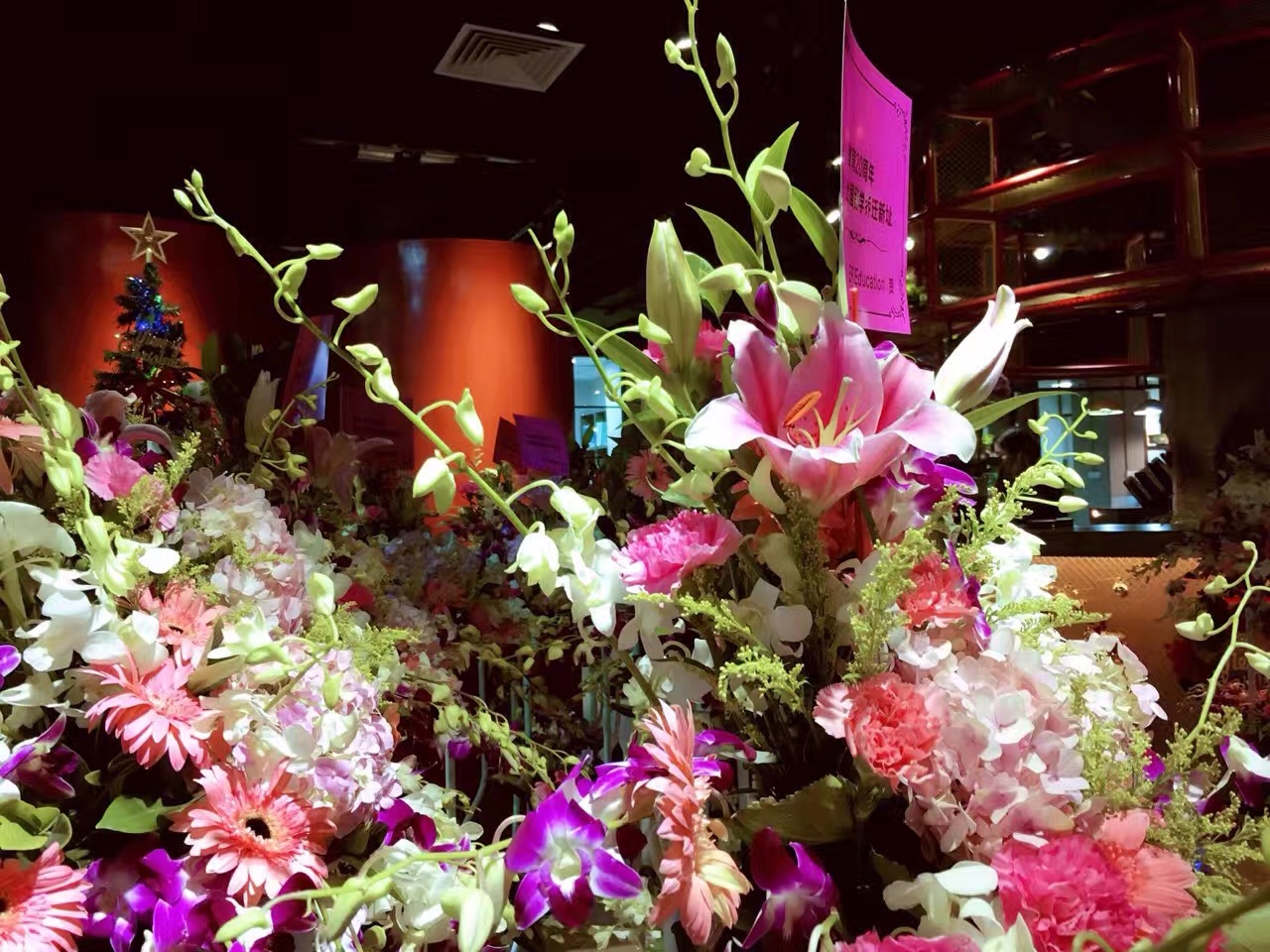 它宣布正式落户凤岭片区，很多家长和学生乐了！