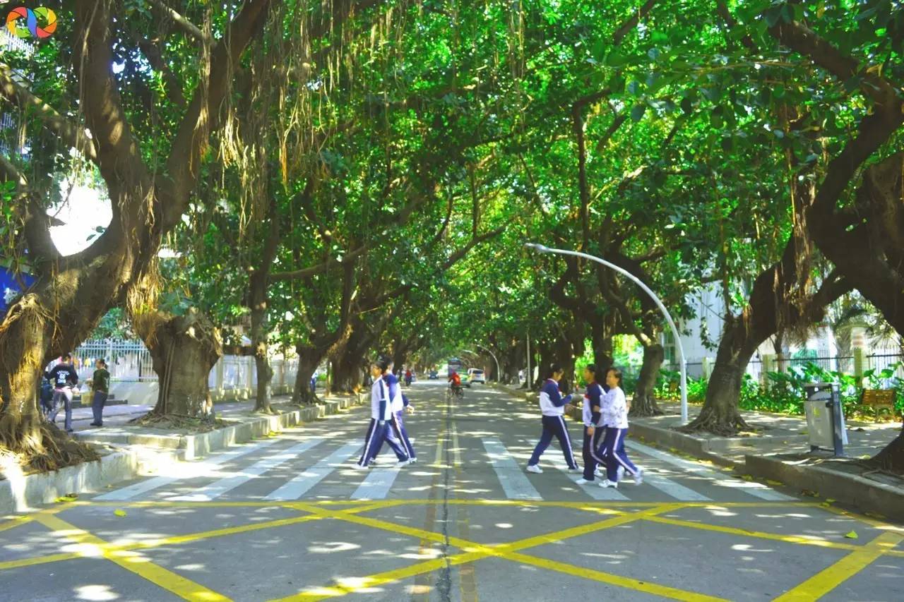 你愿意陪我走过春夏秋冬,你愿意陪我走一条很长的路吗中文