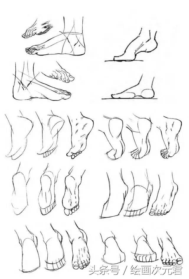 人体结构动态,动态素描·人体结构