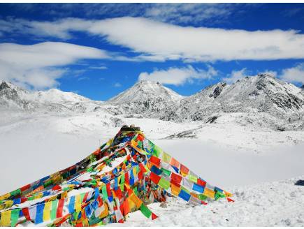 朋友圈现新网红“浮云牧场”四川藏区世界级资源正在起飞