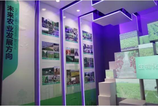 菜篮子电商,聊城莘县电商基地