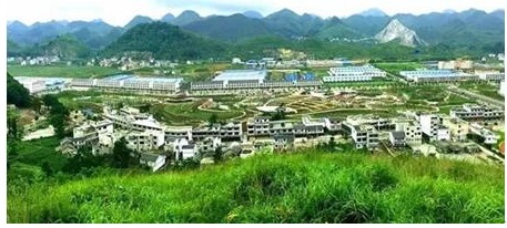 正和恒基业绩怎么样,正和恒基有发展前景吗