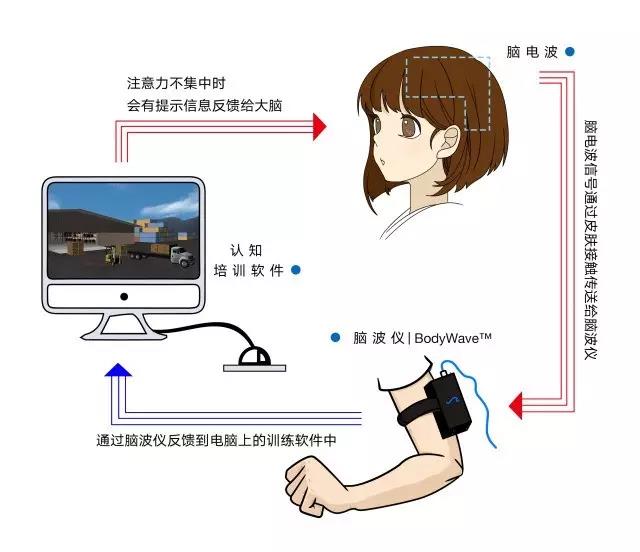 脑科学训练儿童专注力，聚思教育引入海外解决方案