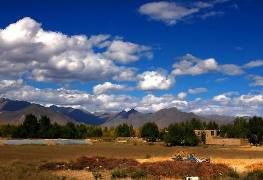 朋友圈现新网红“浮云牧场”四川藏区世界级资源正在起飞