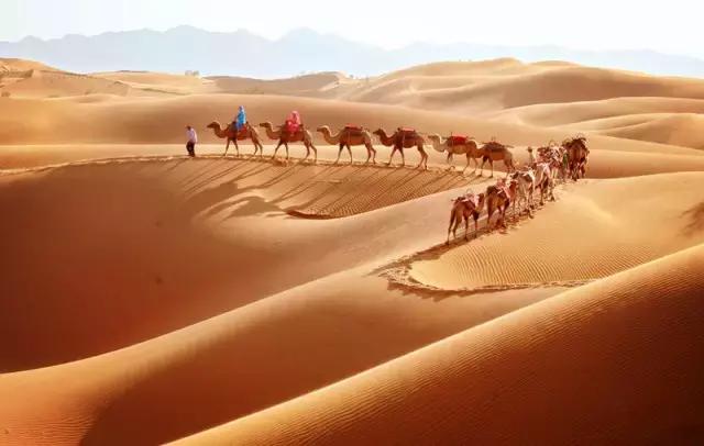 想学靳东那样去探险？先学会绳索速降再说