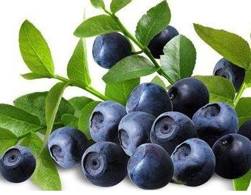 白癜风治疗能立竿见影吗,治疗白癜风的副作用是什么