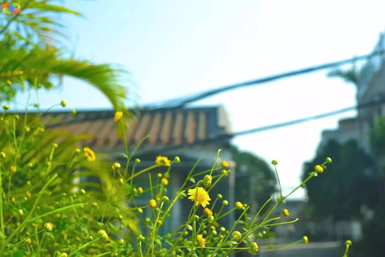 你愿意陪我走过春夏秋冬,你愿意陪我走一条很长的路吗中文