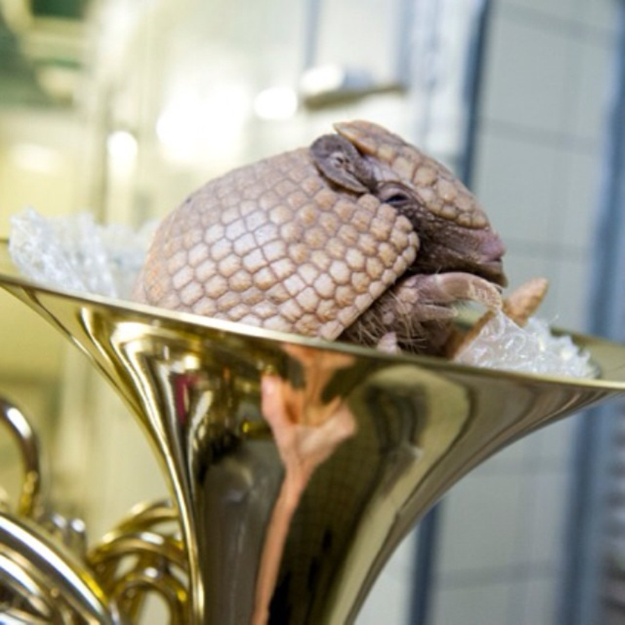 做核磁共振半道跑出来的多吗,做核磁共振途中为什么要推针水