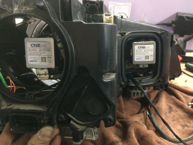 老马识途化险为夷,老马识途给我们带来了怎样的启示