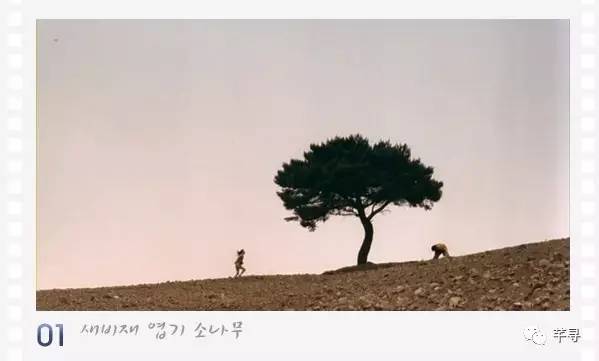 不止免签和免税店，还有各家爱豆，都在喊你去济州岛办婚礼！