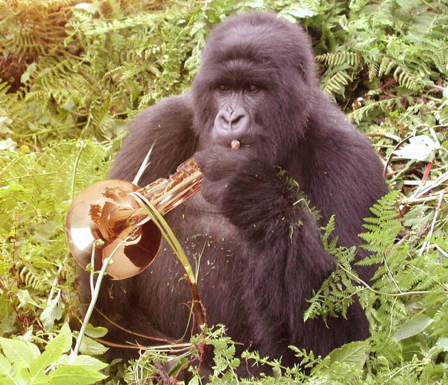 做核磁共振半道跑出来的多吗,做核磁共振途中为什么要推针水