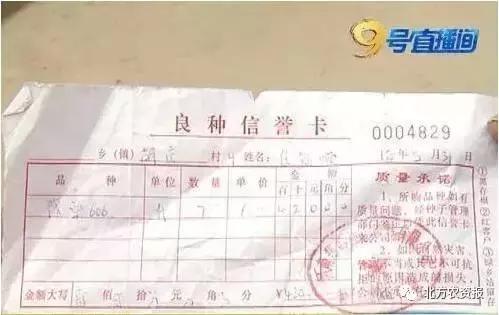 楂樹环鐜夌背绉嶅瓙,闇夊彉鐜夌背鍘傚