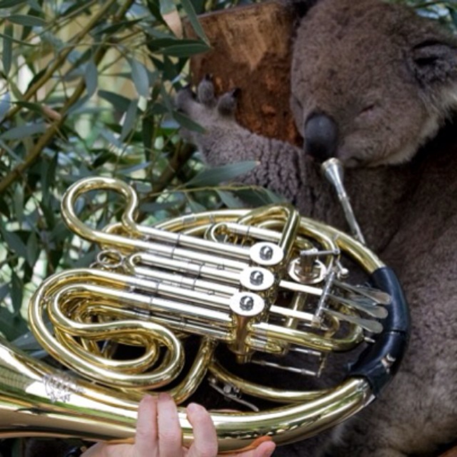 做核磁共振半道跑出来的多吗,做核磁共振途中为什么要推针水