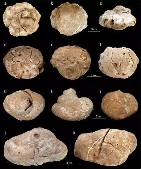 中国人每天的排泄物固体怎么处理,古代是怎么处理粪便