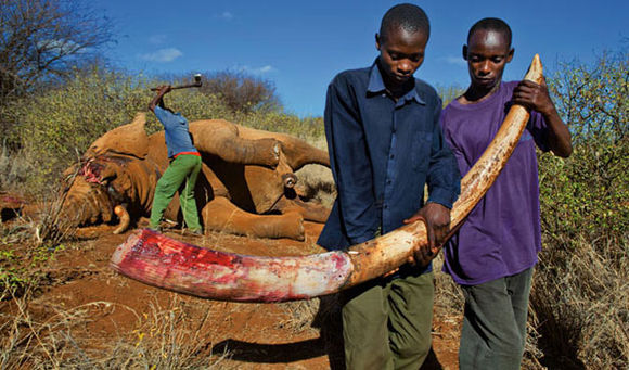 你还在买黄金吗,你还在买珠宝吗