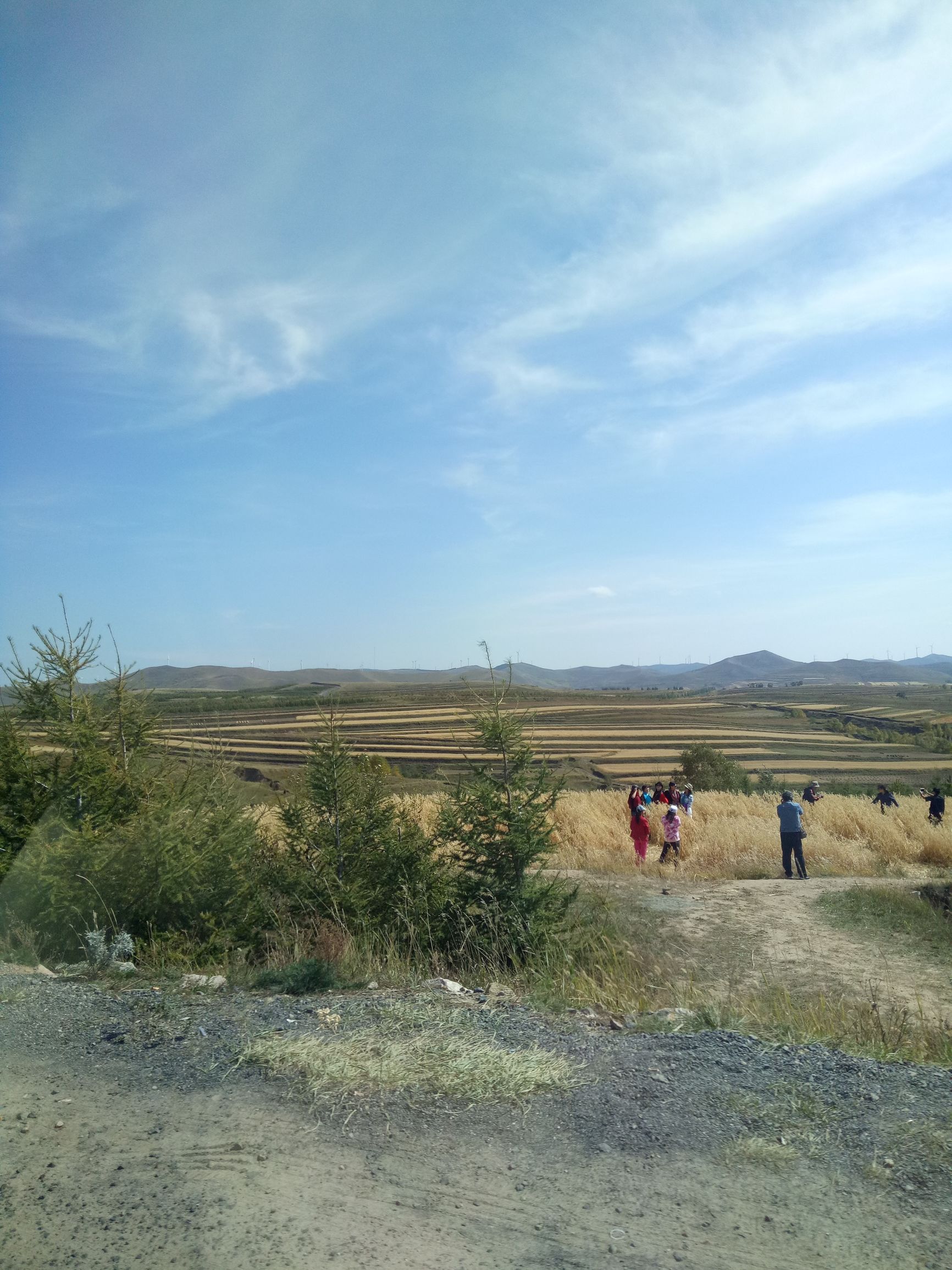 张北的草原天路之旅,张北天路攻略