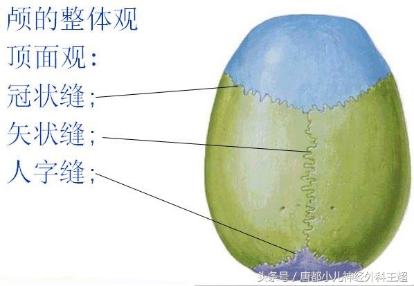 如何确定是不是狭颅症,狭颅症是什么东西