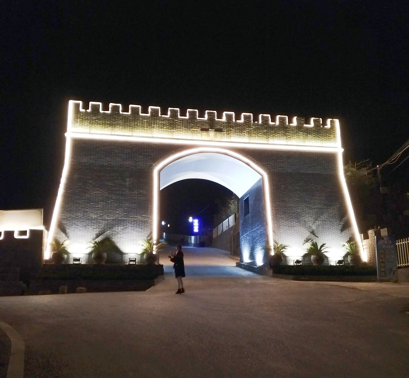 褒河花果山夜景,褒河花果山菊花台