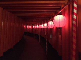 去东京住airbnb,相识十年从一个人到一家四口