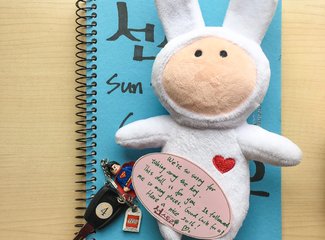 济州岛游记记录,济州岛的春天旅行日记