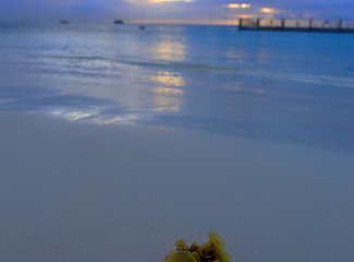 离天堂最近的地方张杰,离天堂最近的地方歌曲