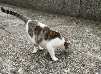 吃货的天堂推荐,吃货的天堂潮汕