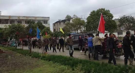 「今日优品」关注草莓用药，农药追新真的好吗？