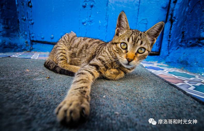 中国游客真的不爱逛博物馆吗？丨摩洛哥艺术时光漫步