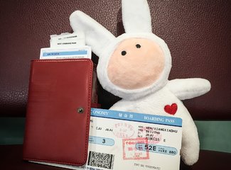 济州岛游记记录,济州岛的春天旅行日记