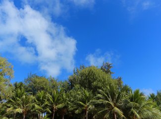 离天堂最近的地方张杰,离天堂最近的地方歌曲