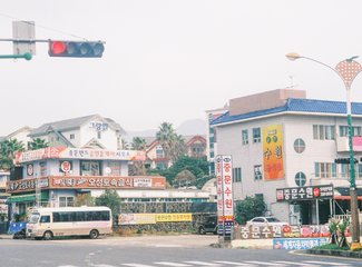 济州岛游记记录,济州岛的春天旅行日记