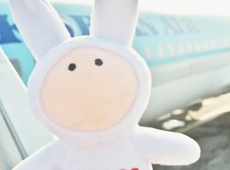 济州岛游记记录,济州岛的春天旅行日记