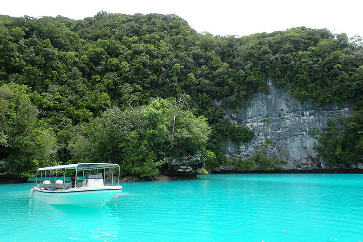 帕劳怎么玩,我来教你怎么玩打野