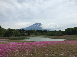 去东京住airbnb,相识十年从一个人到一家四口