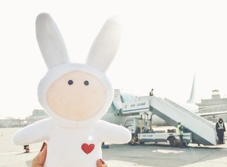 济州岛游记记录,济州岛的春天旅行日记