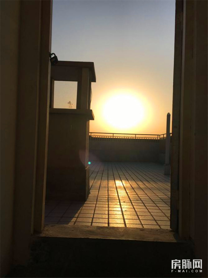 见证西安的发展,见证西安走进碑林