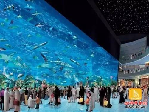 迪拜美食推荐攻略 (迪拜旅游攻略住宿推荐)