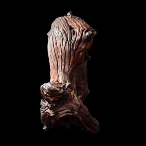 传世最顶级奇楠沉香展现,天然奇楠沉香面世图片